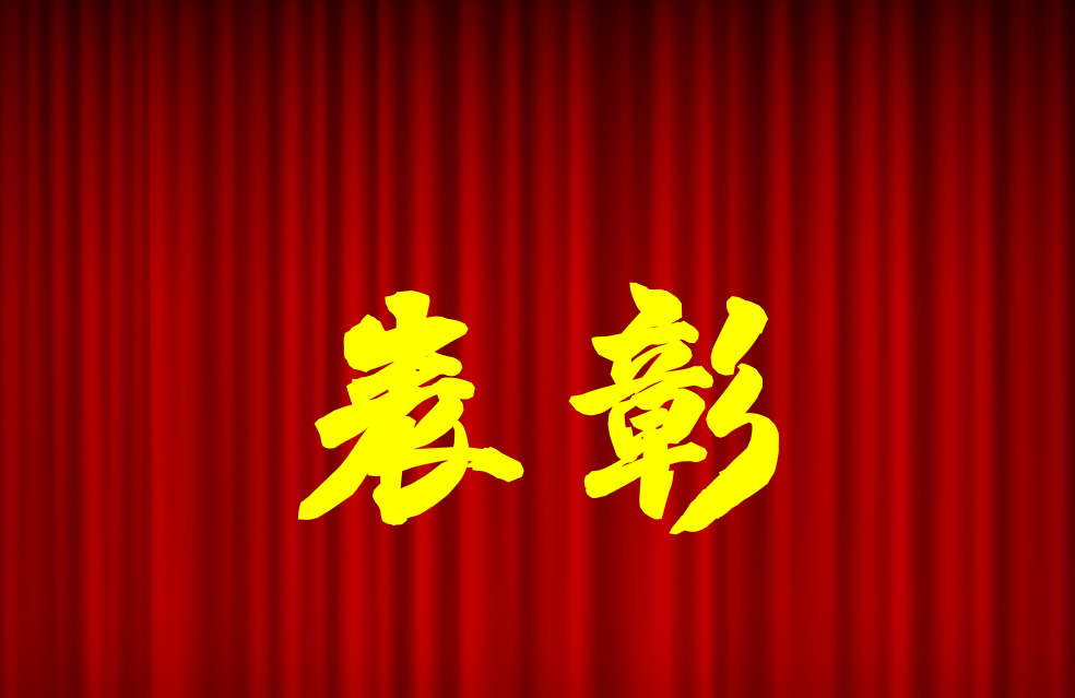逐光前行、榮耀共鑒 | 公司2024年度表彰來啦！